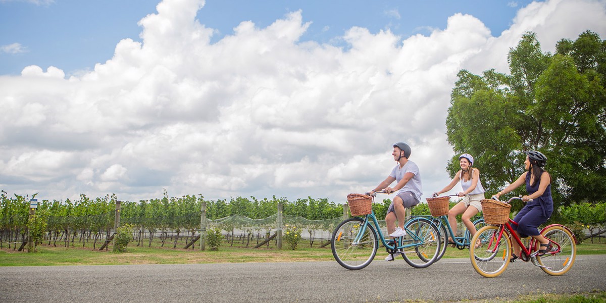 Bike-hopping-Martinborough-wineries__FillWzEyMDAsNjAwXQ